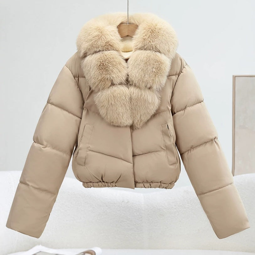 Jacket down women&